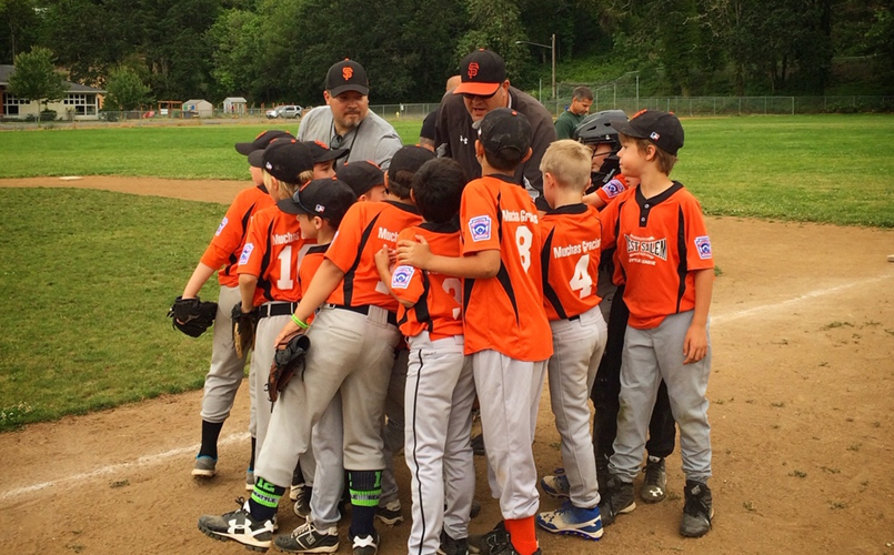 West Salem Little League Baseball > Home