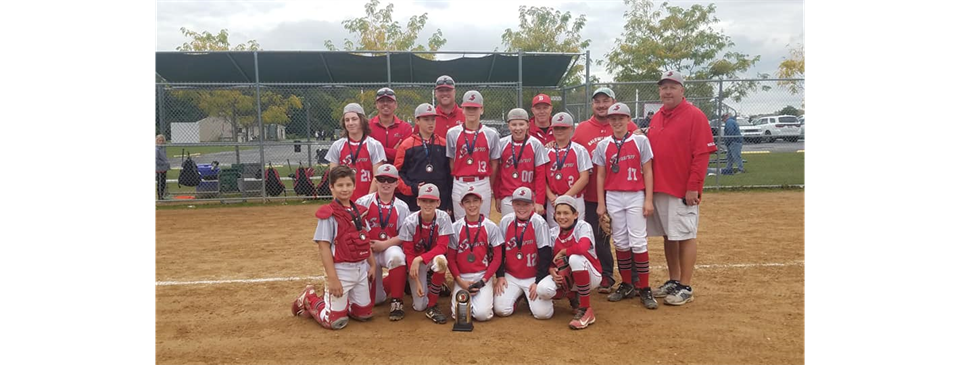 2019 Homerun Baseball Fall Classic Champions - Swarm 11U