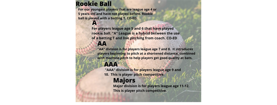 Baseball League Names
