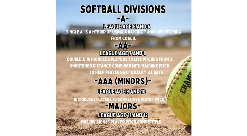 Softball Divisions
