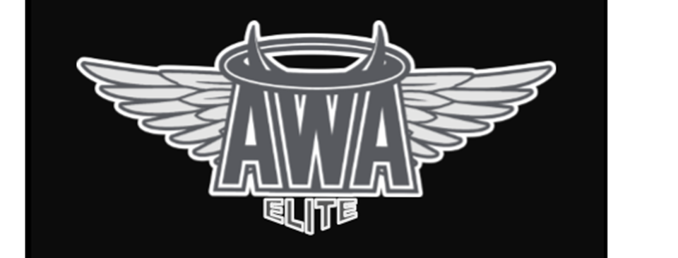 AWA Elite Division