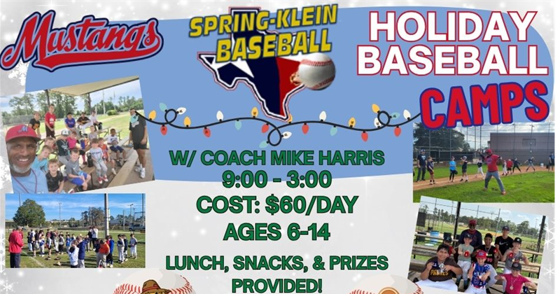 Holiday Baseball Camps