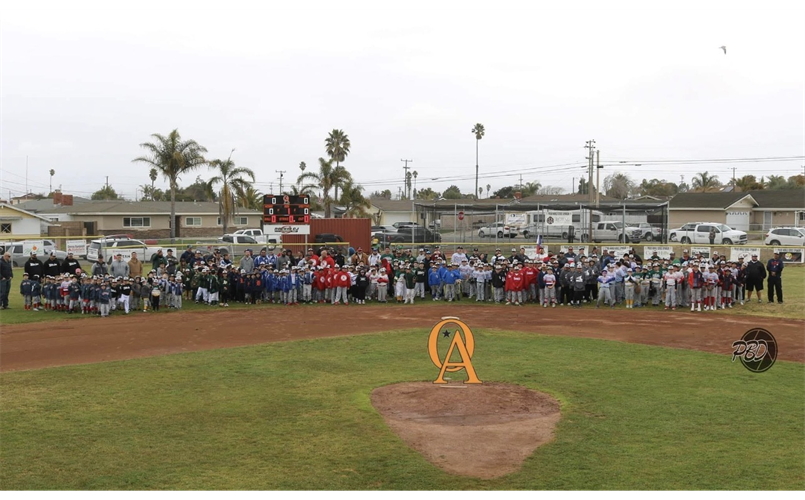 Orcutt American Little League