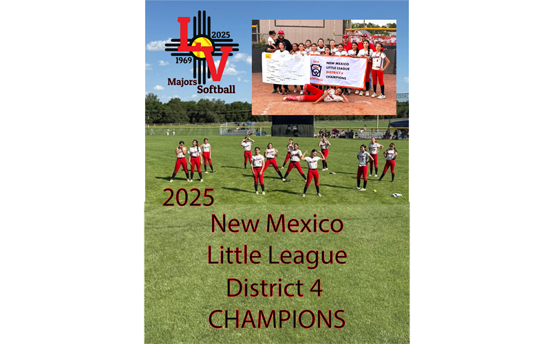 LVLL Softball NM Little League District 4 Champs!