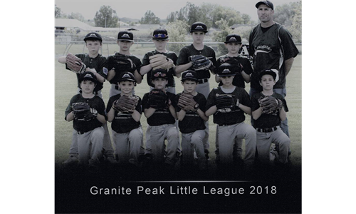 9/10 Major League Little League team