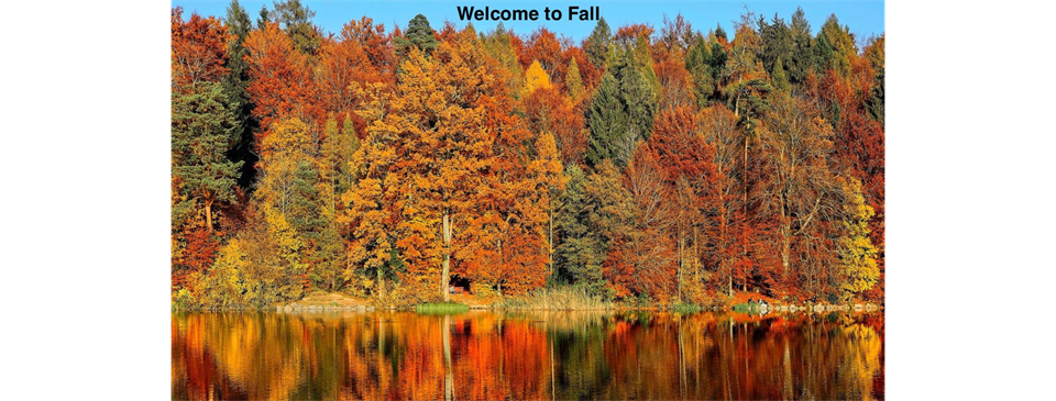 Welcome to Fall