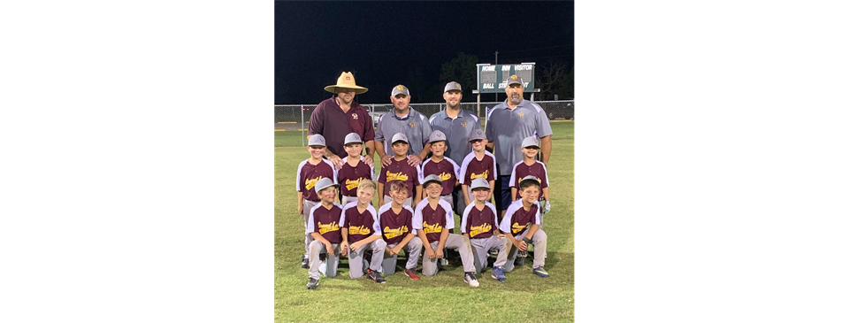 2019 LA District 6 Coach Pitch - Runners Up