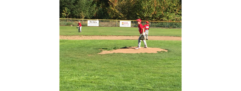 2018 Fall Ball- AAA Minors combo with Parrish