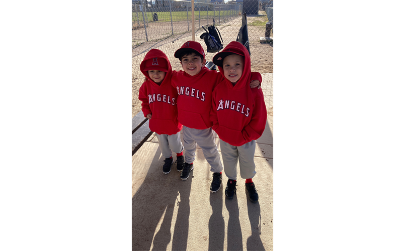 T Ball Angels 