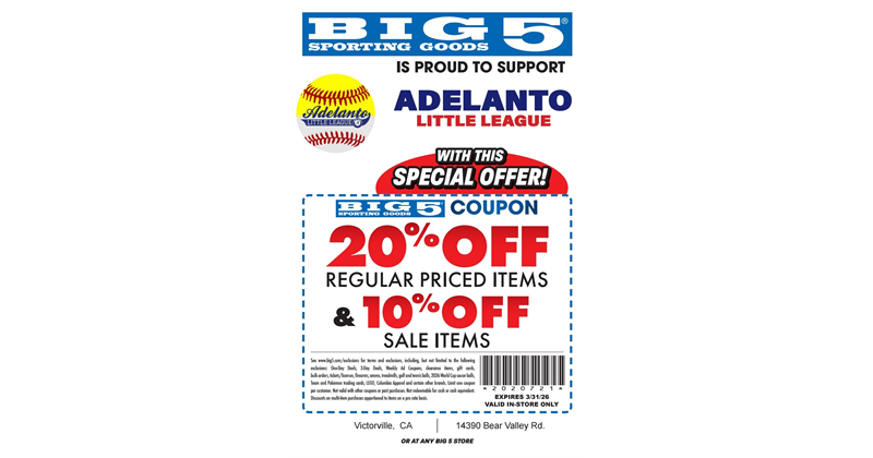 BIG 5 COUPON