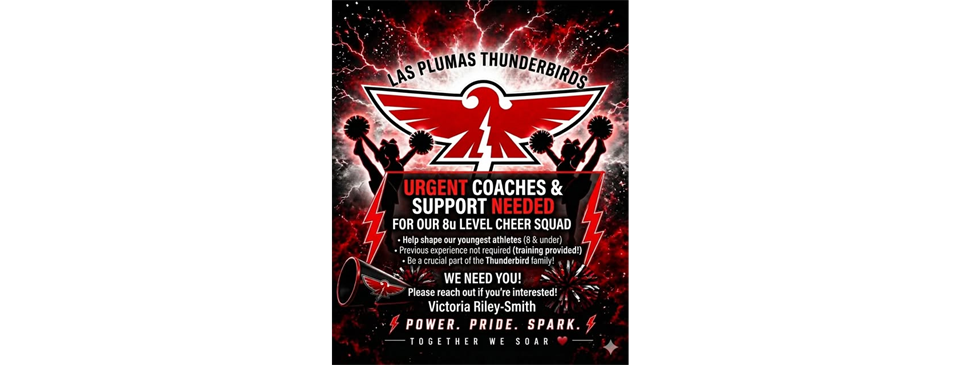 Cheer Coaches 